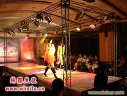 絲露文化傳播 武漢慶典與文藝演出的專(zhuān)業(yè)服務(wù)商